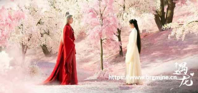 800万前摄+强续航 荣耀畅玩5A全面评测教程